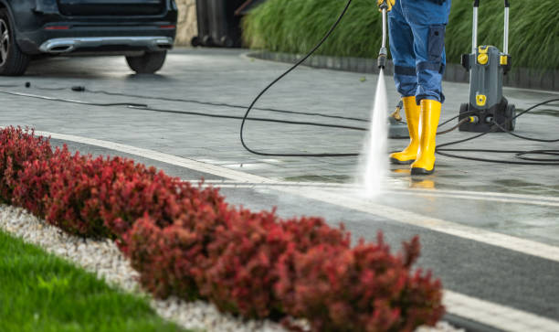 Best Driveway Pressure Washing  in Penn Estates, PA
